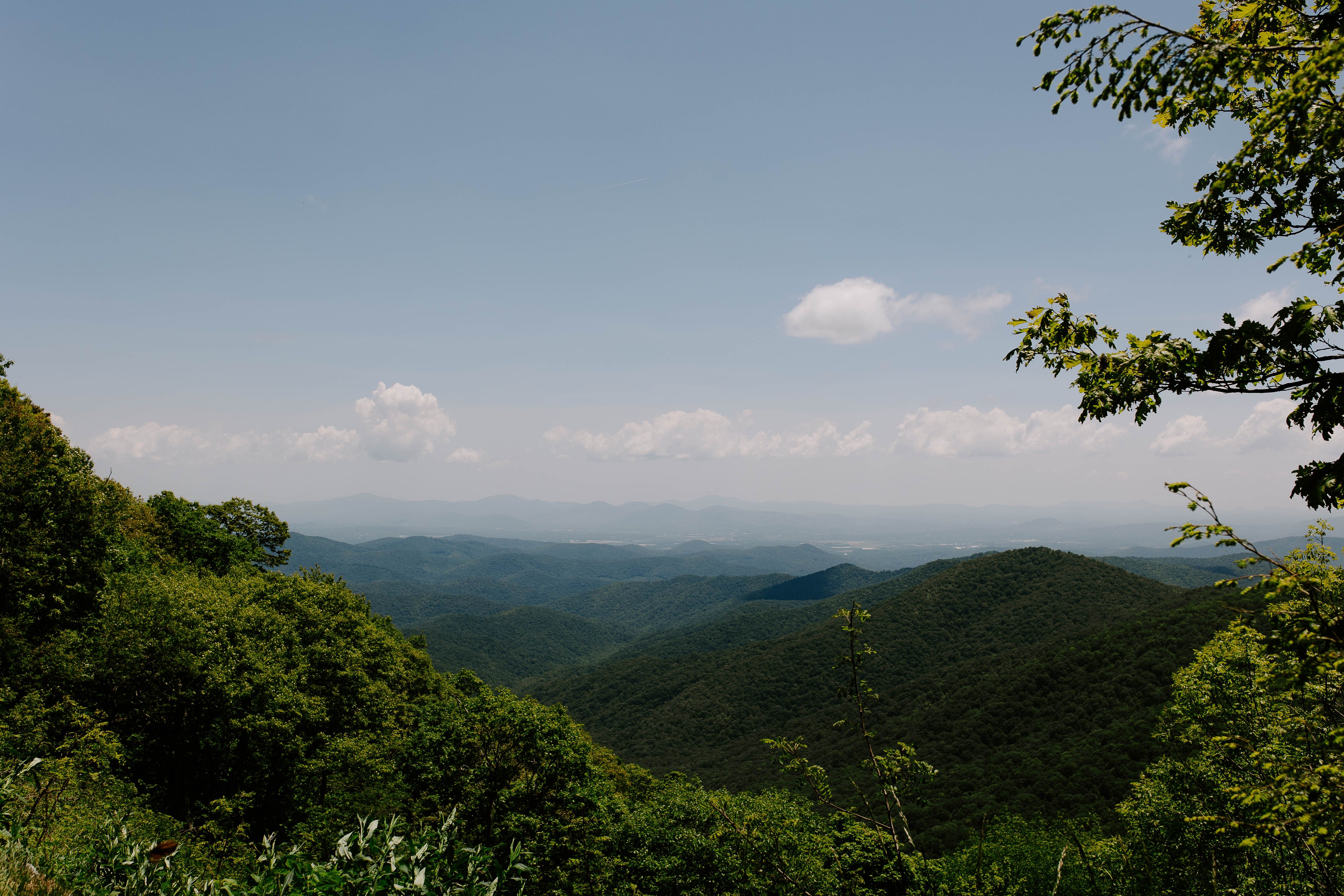 Asheville city image